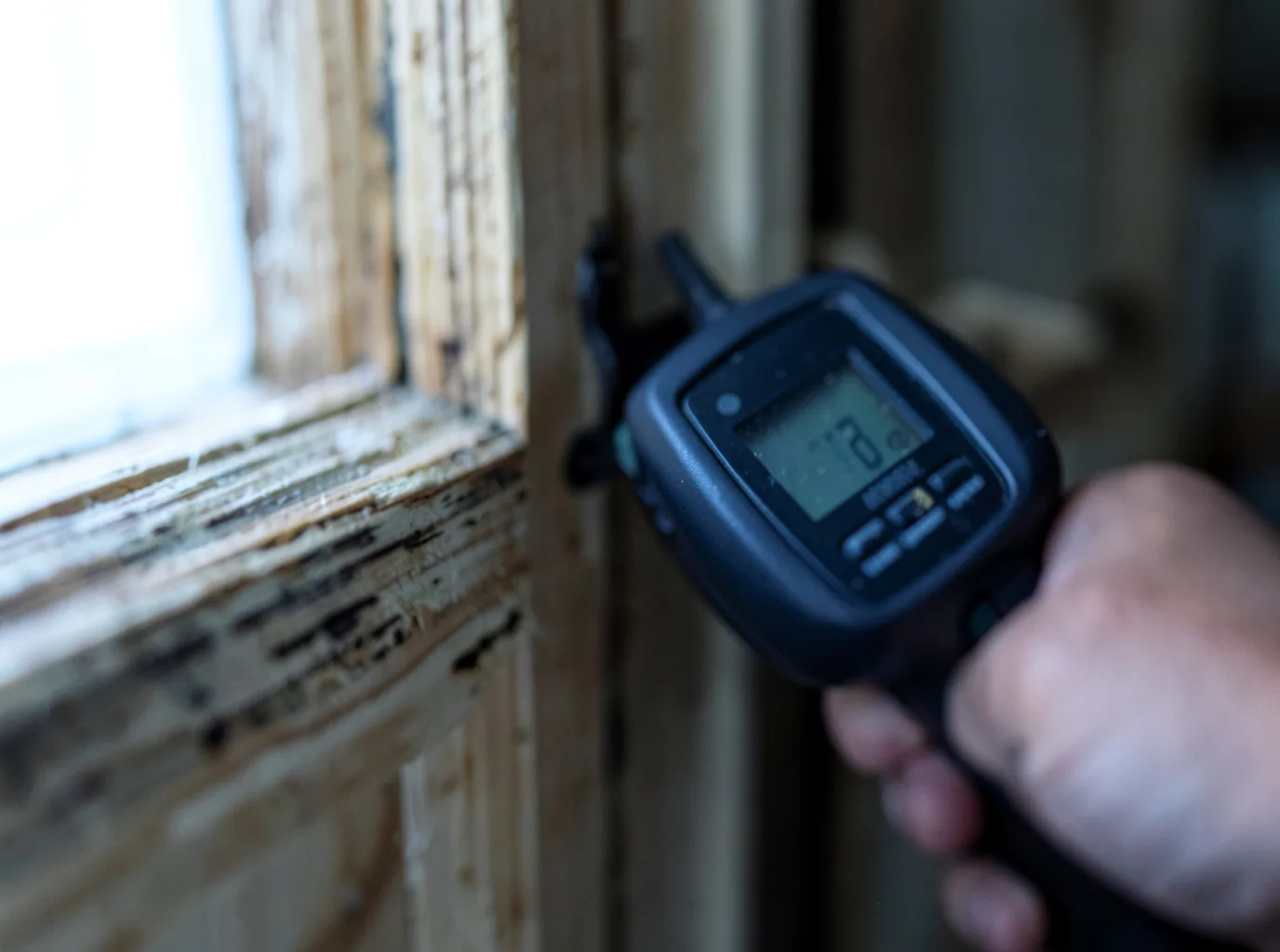 Commercial Water Damage Restoration in Brandeis, CA